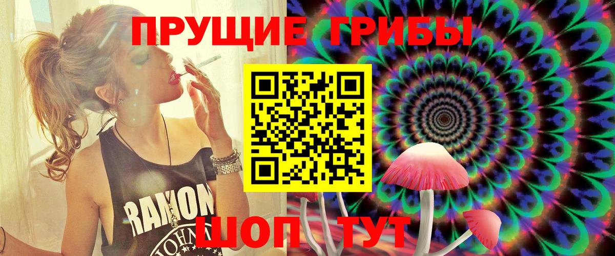 Псилоцибиновые грибы мухоморы  Вход с VPN  Псилоцибиновые грибы Psilocybe  Великий Устюг 